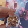 jewellery Image 2