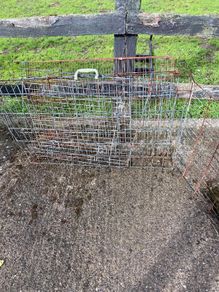2 Dog Kennels