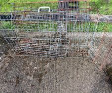 2 Dog Kennels