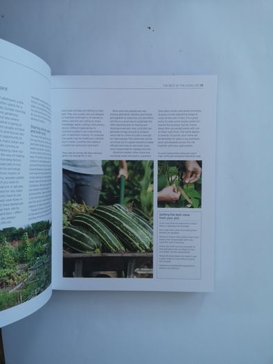 Royal Horticultural Society allotment handbook