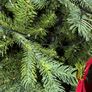 christmass tree Image 5