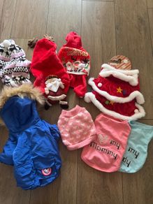 dog clothes