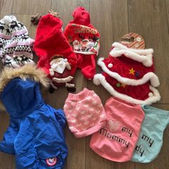 dog clothes