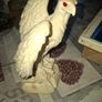 Up for sale is a Vintage Majestic White Eagle figurine Sculpture. Beautifully Powerful Talons Image 2