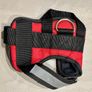 Regatta Reflective Dog Harness size Small Image 2