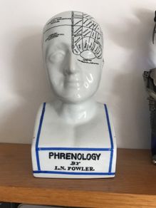 Phrenology Head  Bust