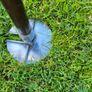 Vintage 1950s Featherwate Shooting Stick  Seat Cane Image 4