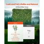 Artificial Grass Wall Panels 60 x 120 inch Milan Grass Greenery for Decor Image 5
