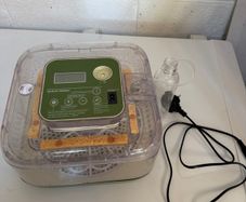 12 Egg Incubator