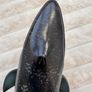 Schleich Spotted Blue Whale 14552 Rare Retired 2004 approx. 23 cm. Used Please see photos Image 7