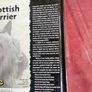 Scottish Terrier Manual Image 4
