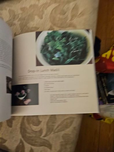 The Food Of Art. New Zealand Painters And Their Food. By Keith Stewart. Photographs By Craig Potton. First Edition Large Volume Paperback In Good Condition.  See Photos For Same.