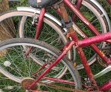 biks