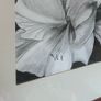 Large Original Framed Pencil / Graphite Drawing Image 5