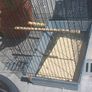 bird cage Image 4