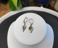Yelow and White Gold 375 9k Earrings.