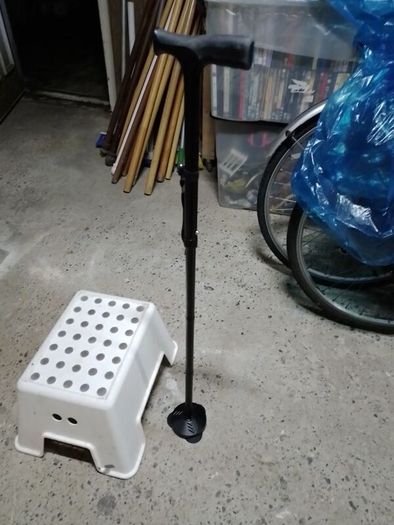 Walking stick