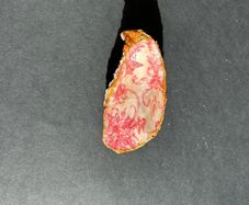 pink detail jewellery holder