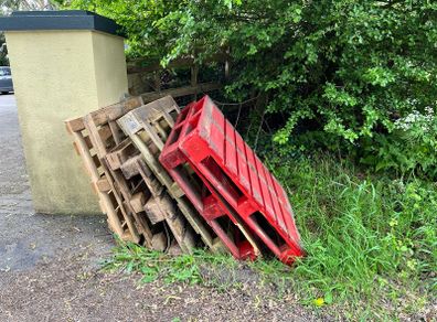 FREE - Wood Pallets