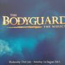 12 programmes from 12 well known musicals Image 9