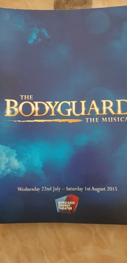 12 programmes from 12 well known musicals