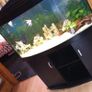 Juwel Vision Tank + Stand 260 Litres Image 2