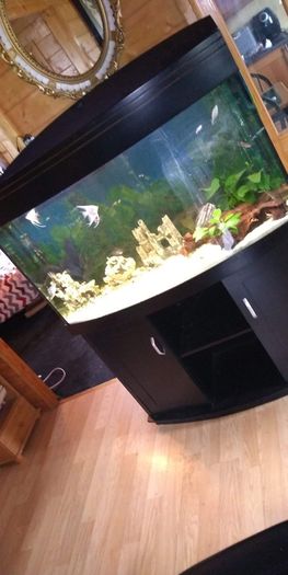Juwel Vision Tank + Stand 260 Litres