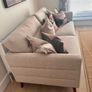 Couch Image 2