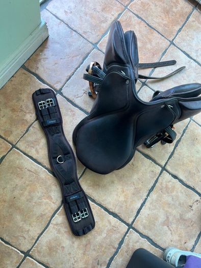 Horse saddle cavaletti collection, girt, stirrups
