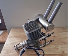 Dle 55