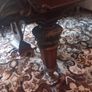 Baby grand piano by Schiedmayer, v heavy, with stool, Kilmacanogue Image 6