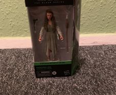 Star Wars The Black Series Princess Leia (Ewok village)