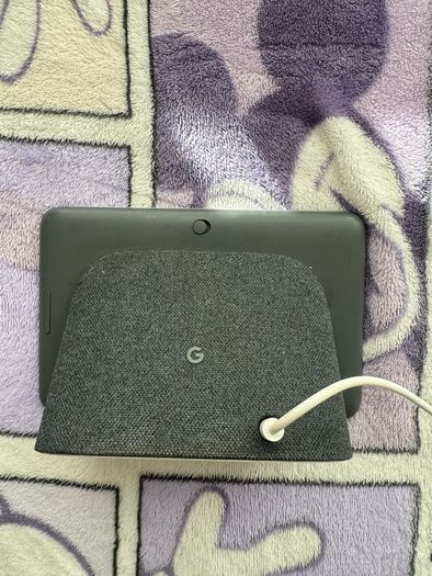 Google Nest Hub (1 And 2nd) Generation