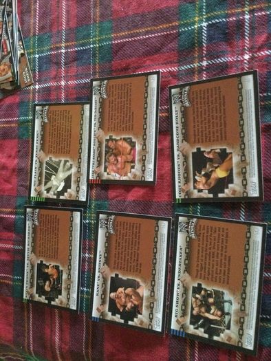 Wrestling Cards