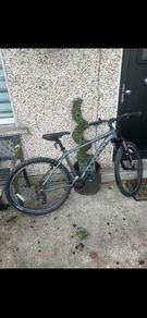 carrera mens bike