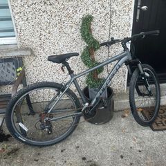 carrera mens bike