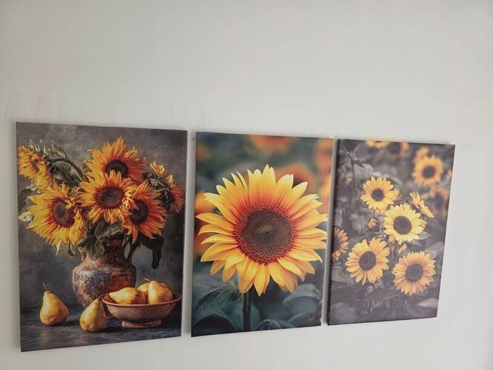 3 framed large canvas