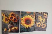 3 framed large canvas