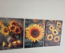 3 framed large canvas