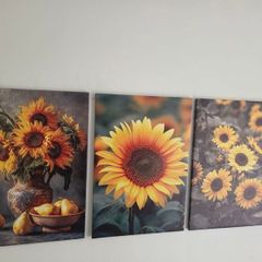 3 framed large canvas