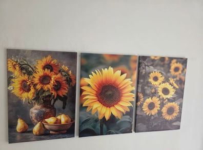 3 framed large canvas