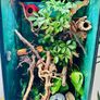 Reptile tank Image 2