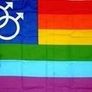 Pride flags Image 5