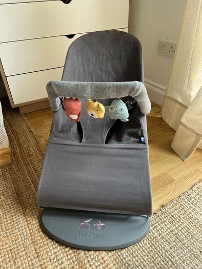 BabyBjorn Bouncer Chair