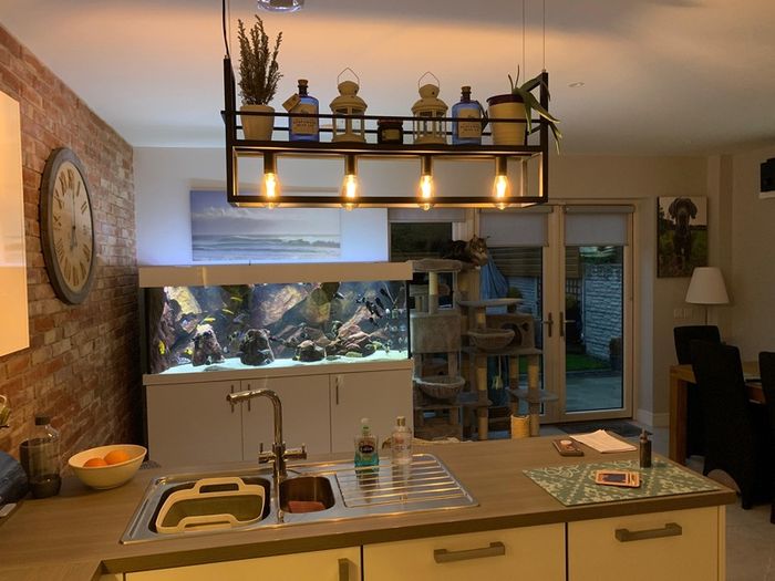 pendant light