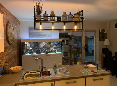 pendant light
