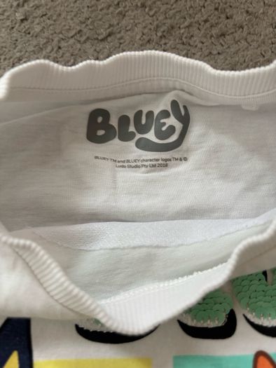 Bluey and bingo T shirt 4-5 years old 110cm