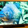 48" FHD Samsung Full HD Smart TV UE48H5500 with Stand & Original Remote Image 3
