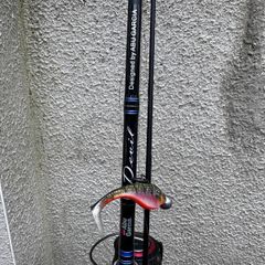 Fishing rod Devil + reel