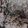 Horse manure   ton bag  Well rotten horse manure  Idea cropping, vegetables, greenhouse,  tunnels  Horse dung Compost Image 3